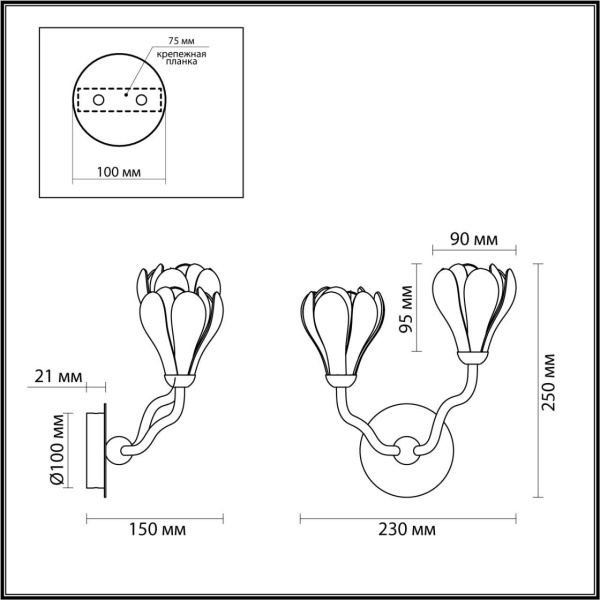 бра_odeon_light_gardi_черный_матовый__арт_5090_2w_2.jpg